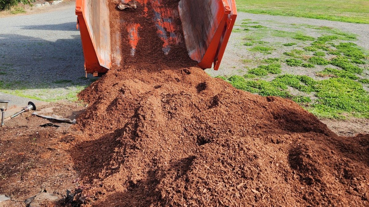 Large Quantity Bark Delivery In Tacoma