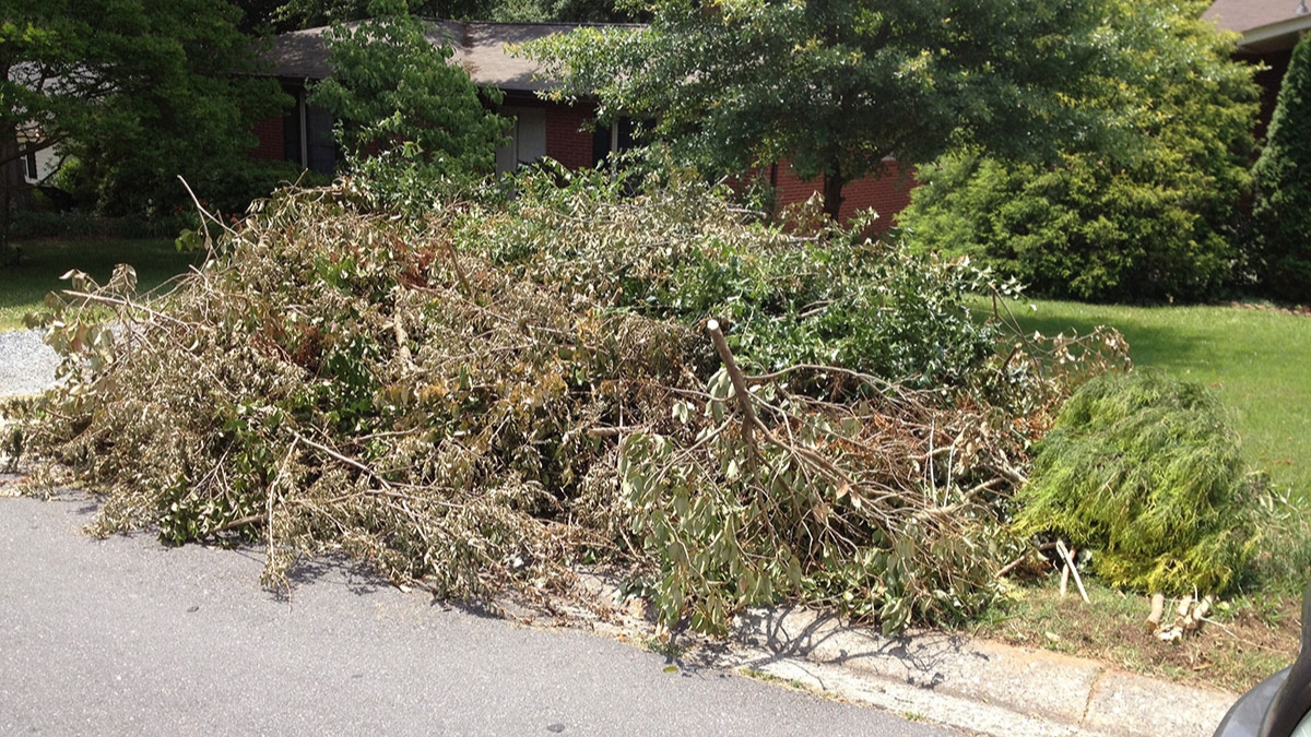 Dumpster Rental For Landscape Debris